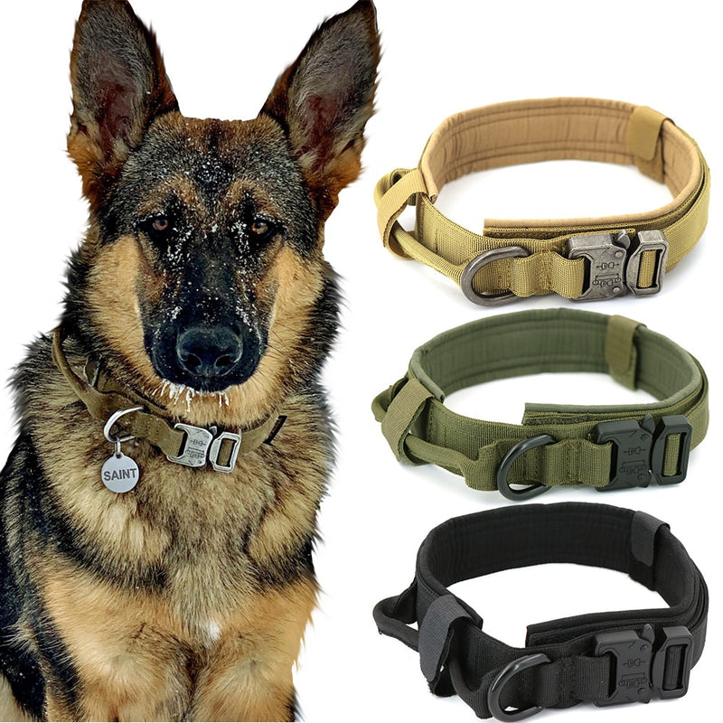 Heavy-Duty Dog Collar