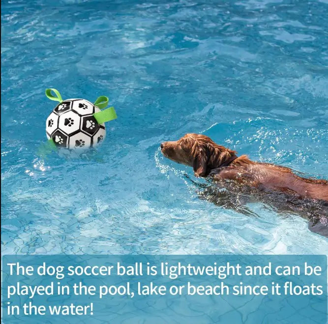 Puppy Play Soccer Ball