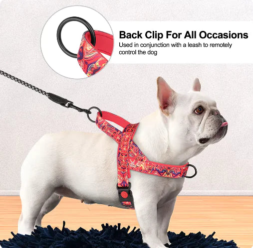 Versatile Dog Harness